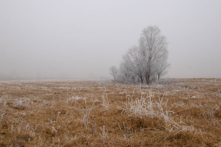 Ограниченная
