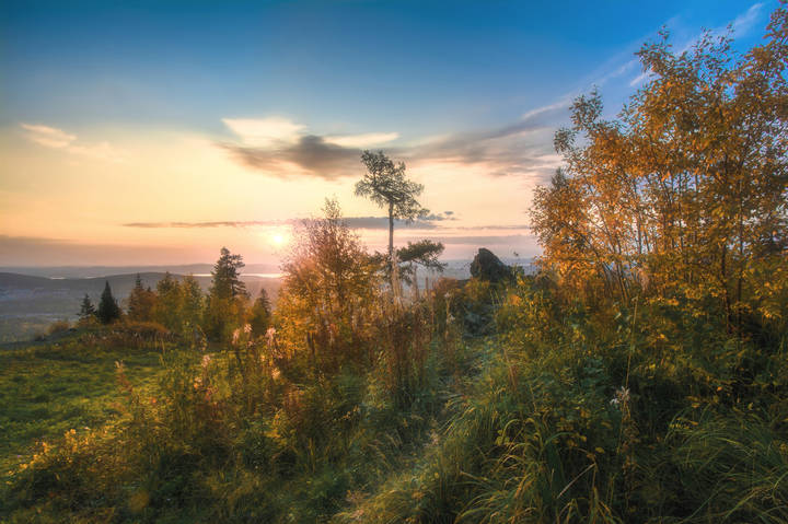 Осеннее утро