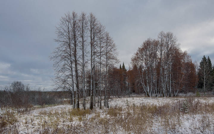 Осень в ноябре