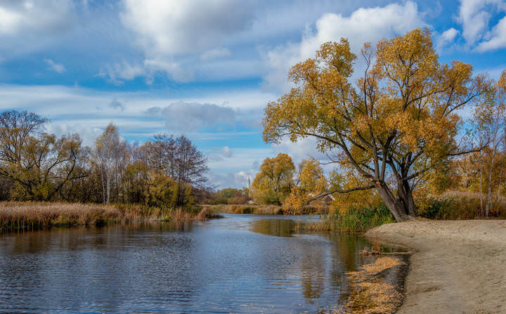 Золотая осень.........