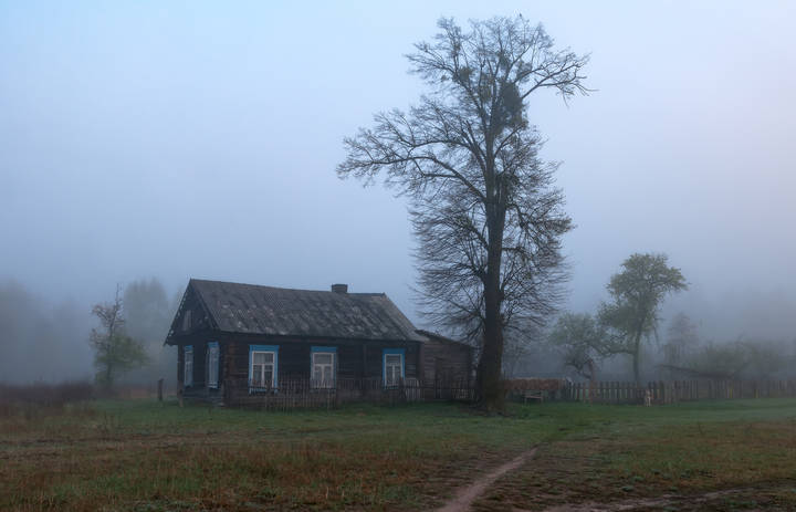 Жизнь в Чернобыльской зоне