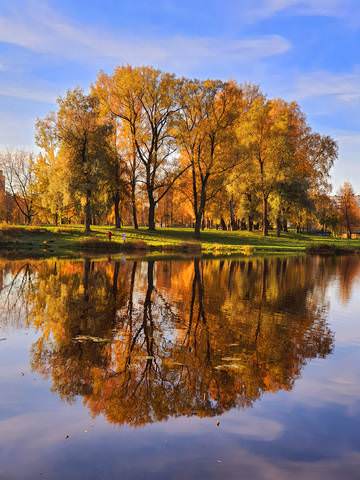 Краски осени