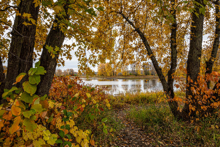 Кривулины