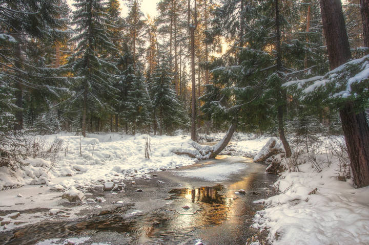 Предзимье