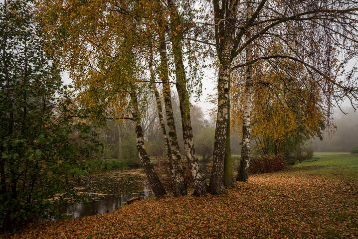 Влажными красками осени