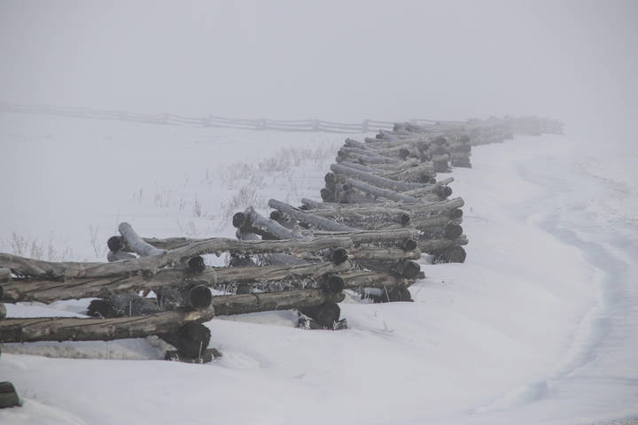 Косоруб