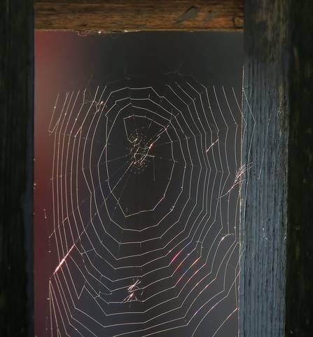 # 9