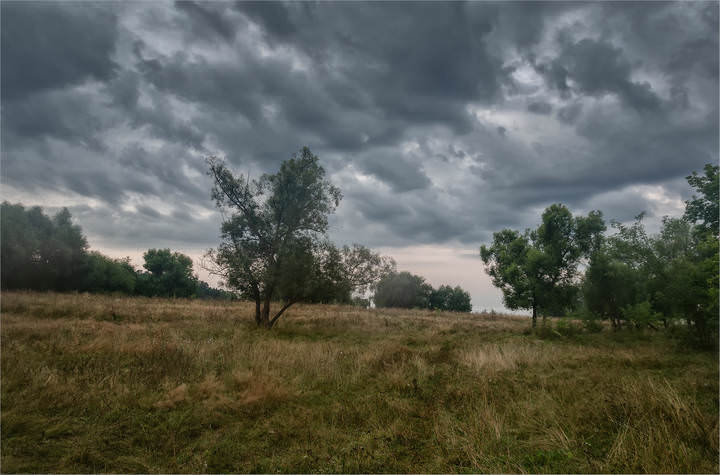 Ненастное утро