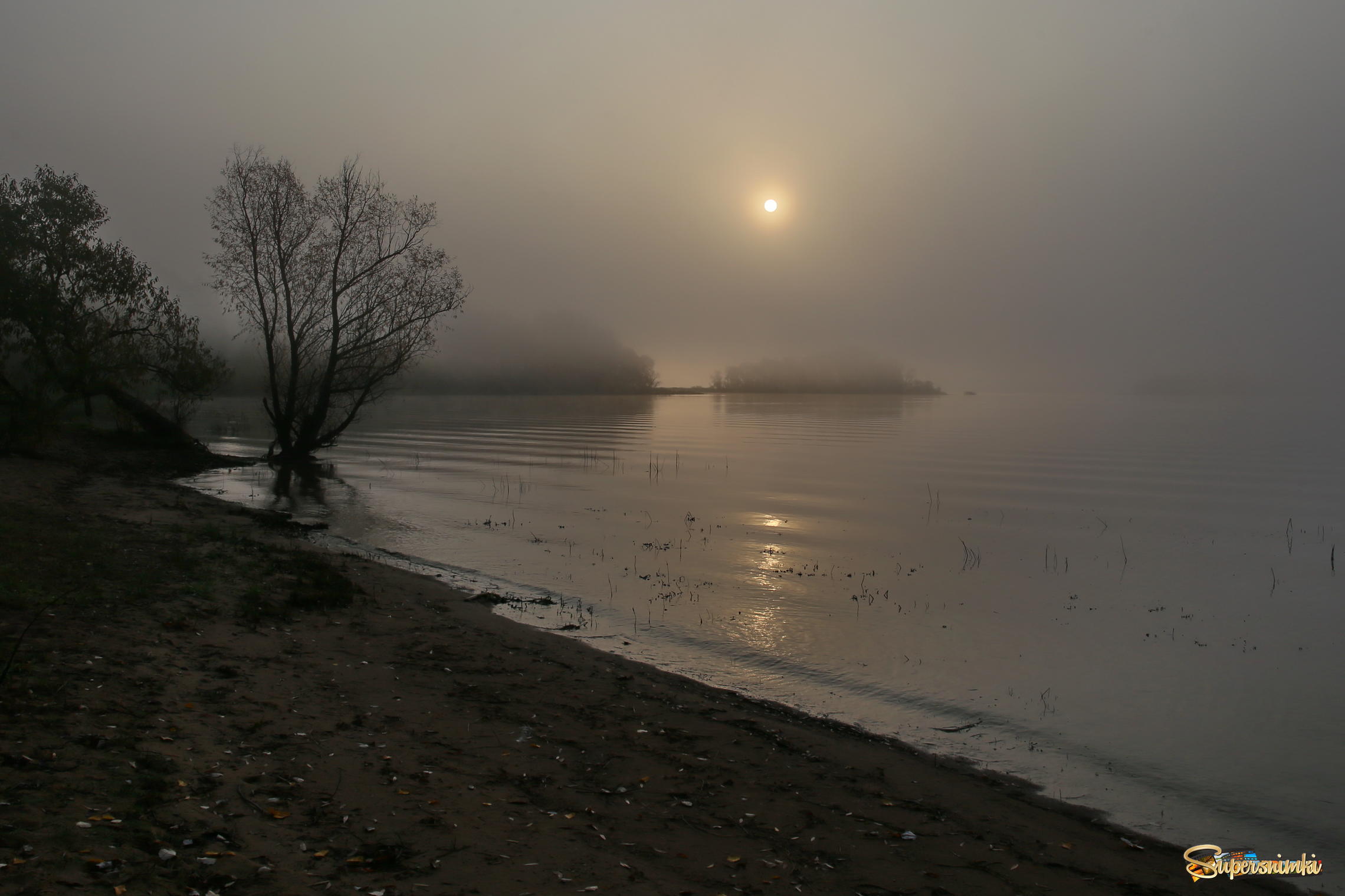 Летнее туманное утро фото