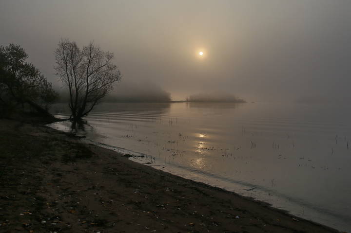  Утро в тумане