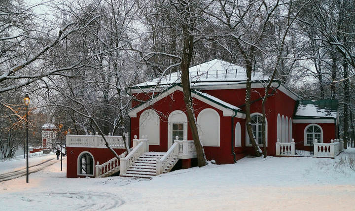 перый снег в Михалково