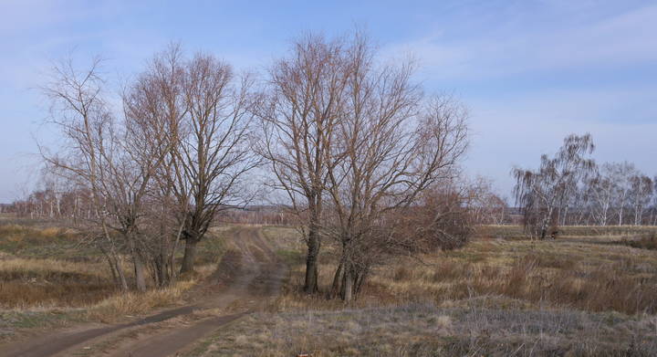 Пейзаж ноября.