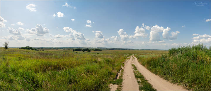 По широкому полю