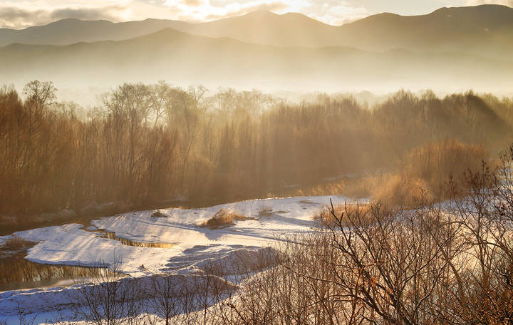 morning rays