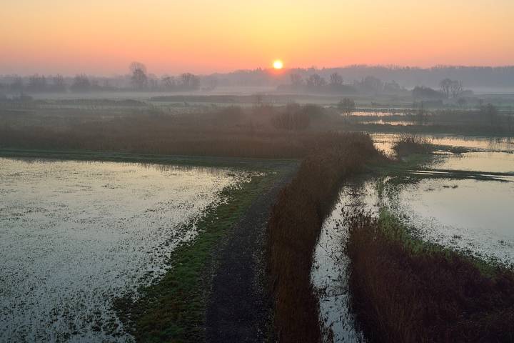 ***