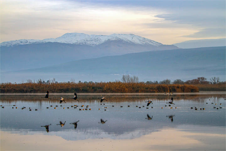Заповедник Хула