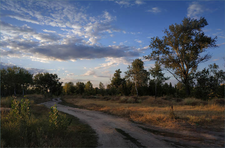 Летний вечер.