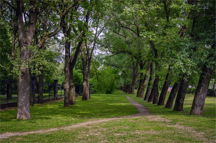 Парк в острогожске фото