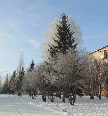 Улица в инее .