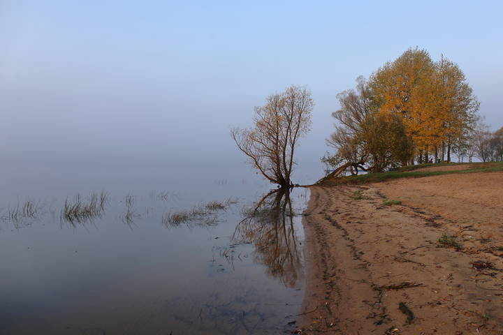  Утро в тумане