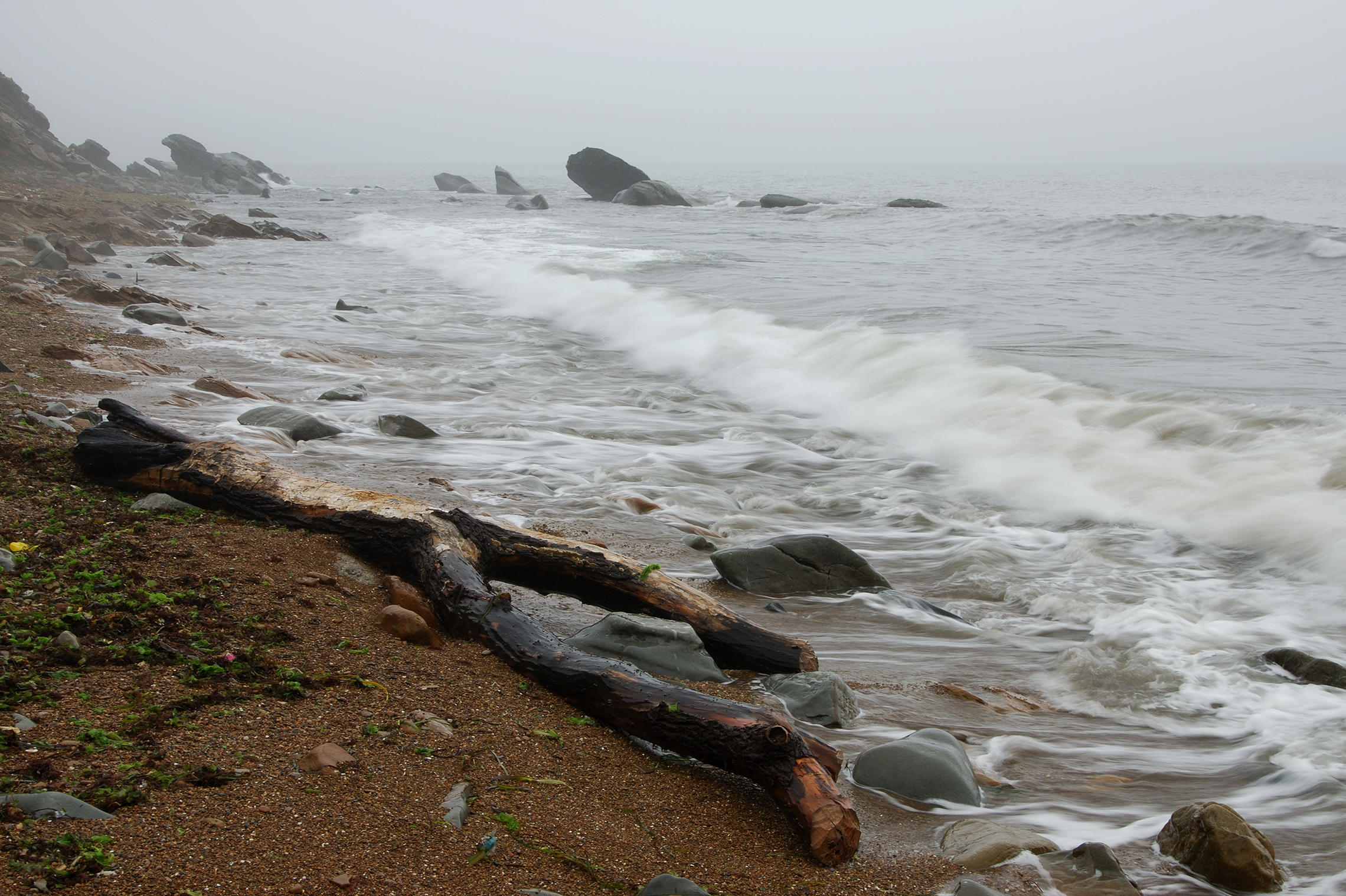 Пляж после шторма. Уссурийский залив Владивосток. Море после шторма. Берег моря после шторма. Владивосток пляж после шторма.