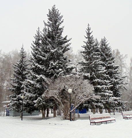 Зимний пейзаж.