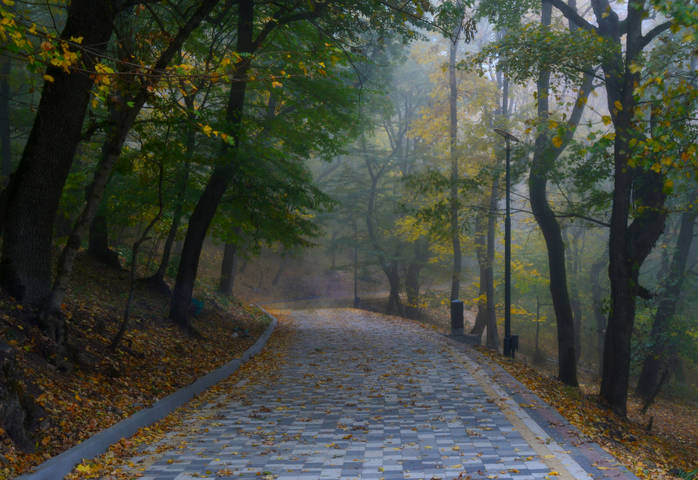 В осеннем парке.......