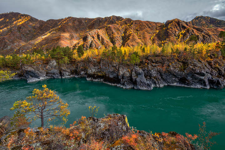 Осенняя  Катунь...