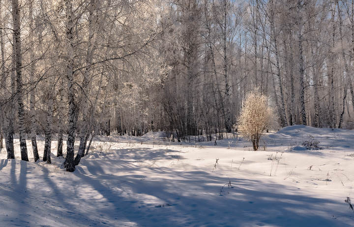 "Скромница"