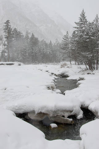 # 1