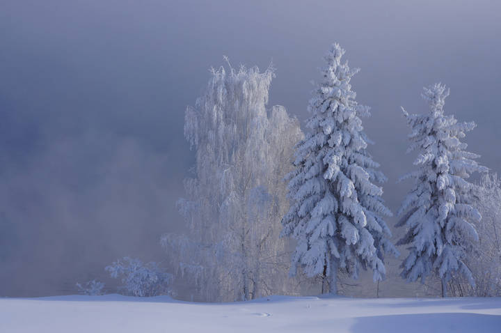 На берегу Ангары.