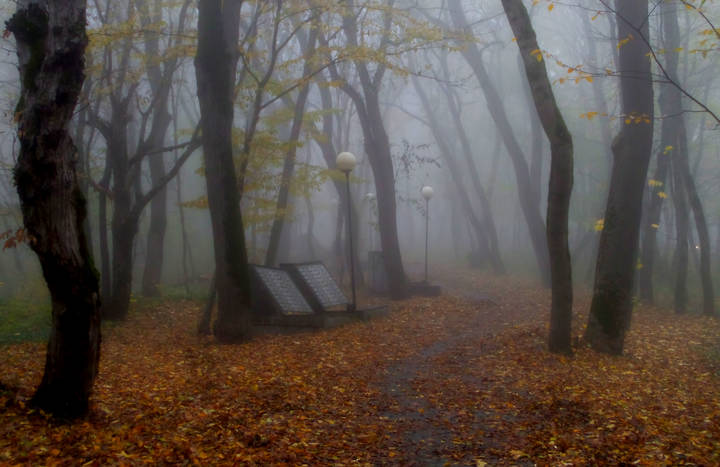 В осеннем парке.......