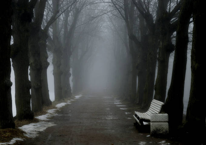 В весеннем парке...........