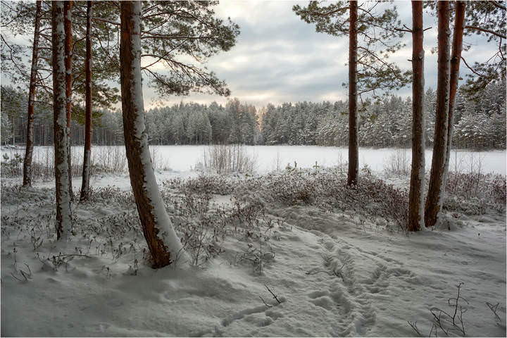 У озера