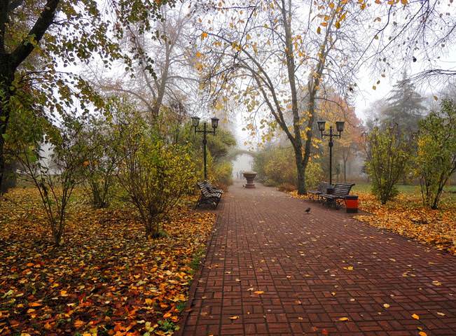 Осень чудная пора