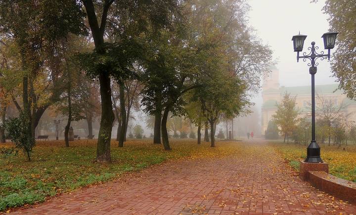 Осень чудная пора