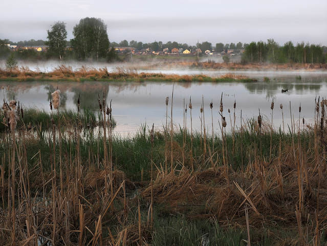 Где-то за городом