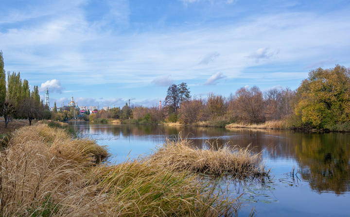 На реке Цне.