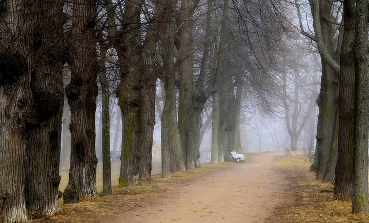 В весеннем парке...........