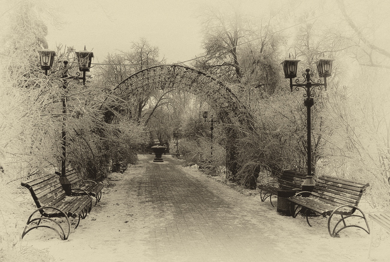 Старый парк зимой