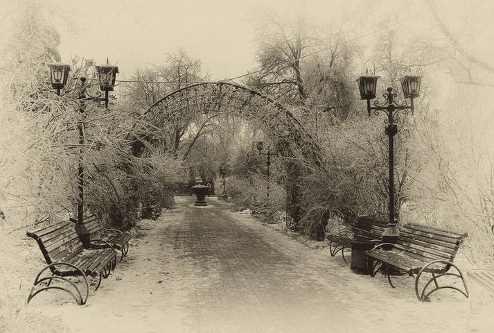 В старом парке