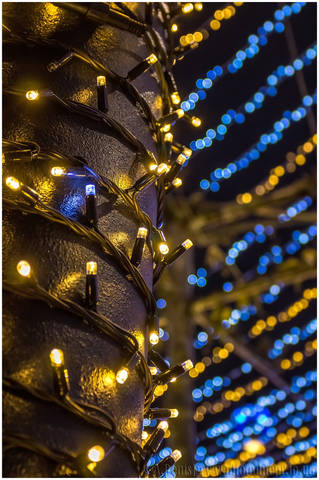 # 4