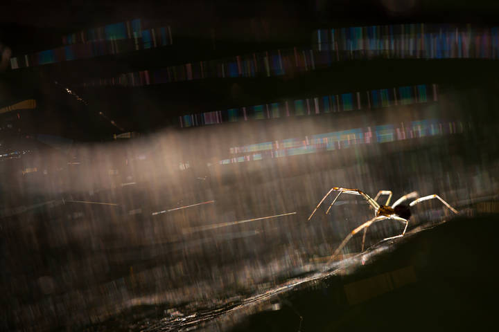 "Танец..."