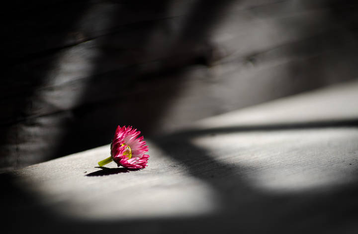 5ffe703ee2cfda07514b5535