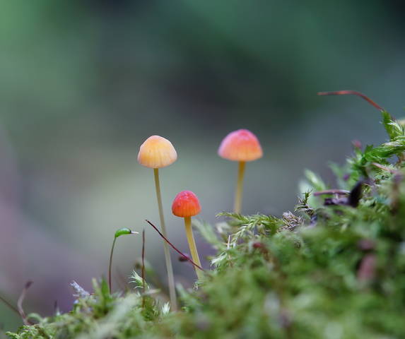 # 2