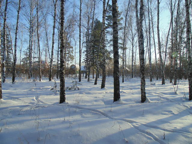 Зима .