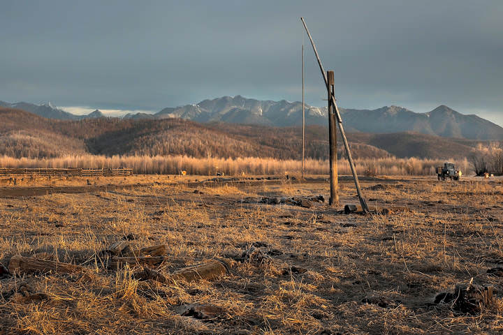 Журавель