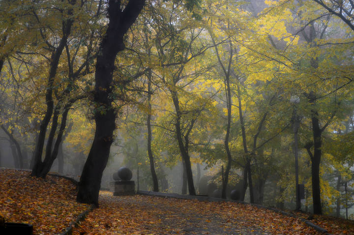 В осеннем парке