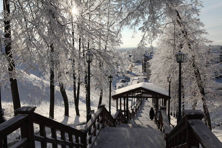 Деревянные ступени