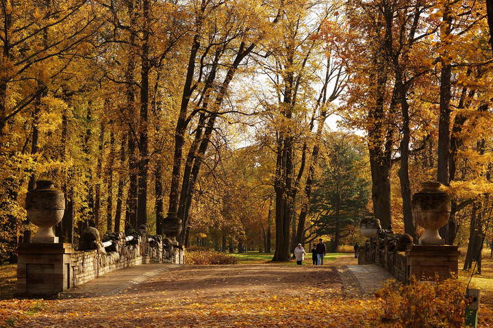 Гуляла осень по аллеям парка....